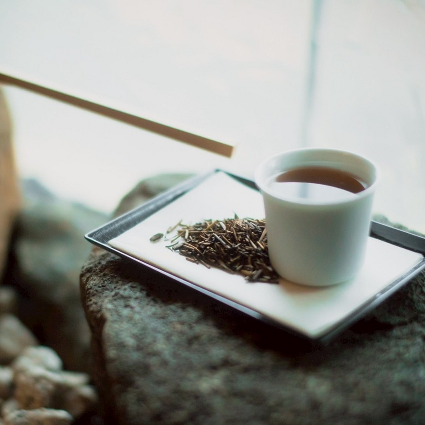Hojicha｜ほうじ茶